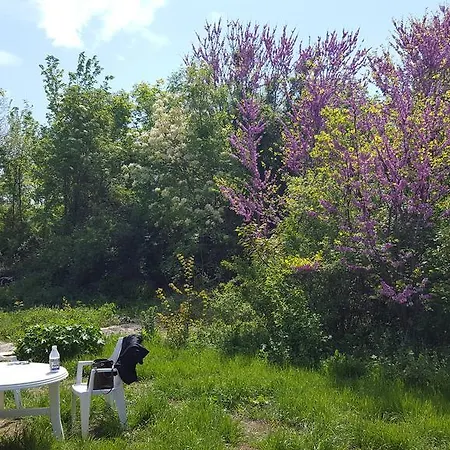 Maison d'hôtes Rusalka *