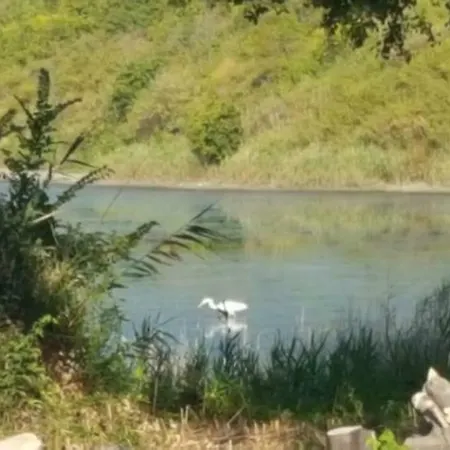 Rusalka * Baltschik